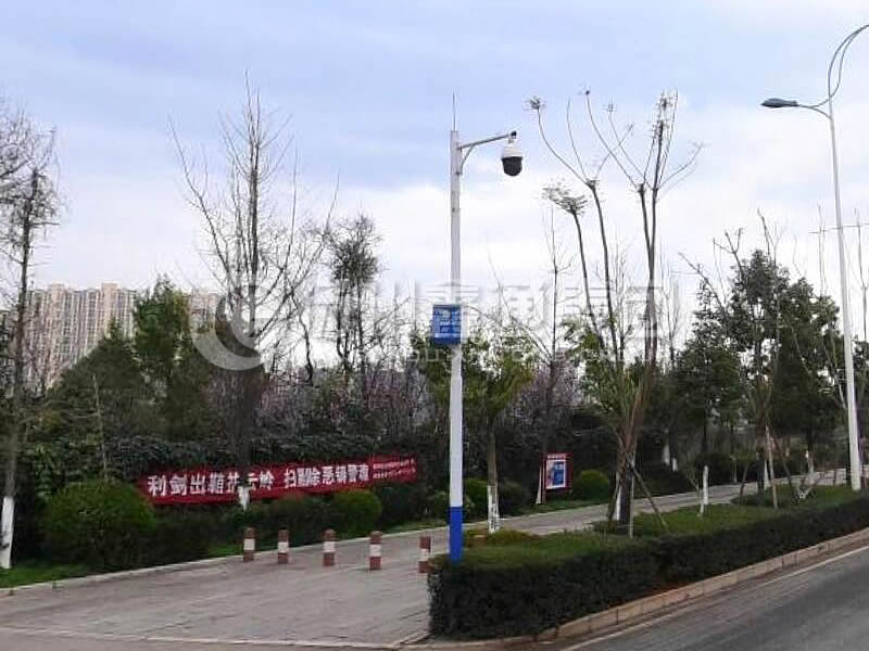 DJG-025，電子警察桿，治安監(jiān)控桿